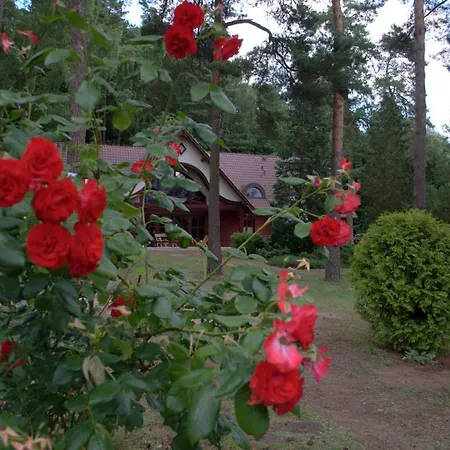 4 Pory Roku Sauna & 2*