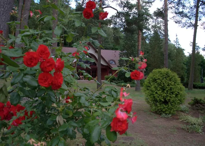 4 Pory Roku Sauna & 2*